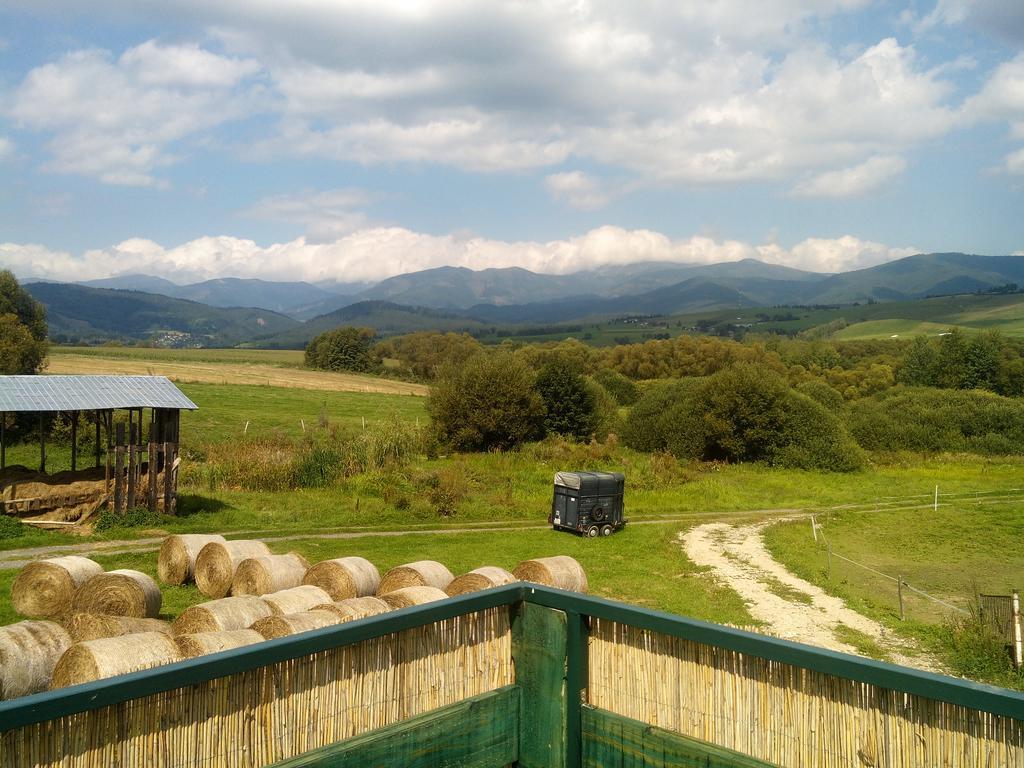 Farma Kozi Dvor Rohozna Appartement Brezno Buitenkant foto