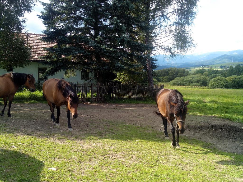 Farma Kozi Dvor Rohozna Appartement Brezno Buitenkant foto