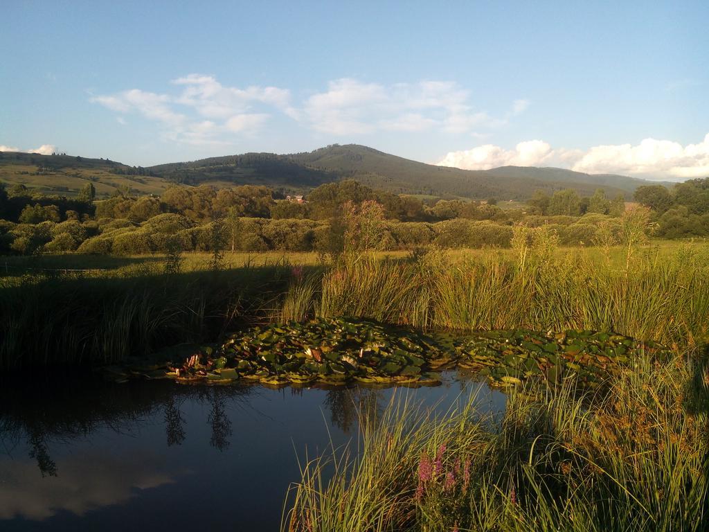 Farma Kozi Dvor Rohozna Appartement Brezno Buitenkant foto