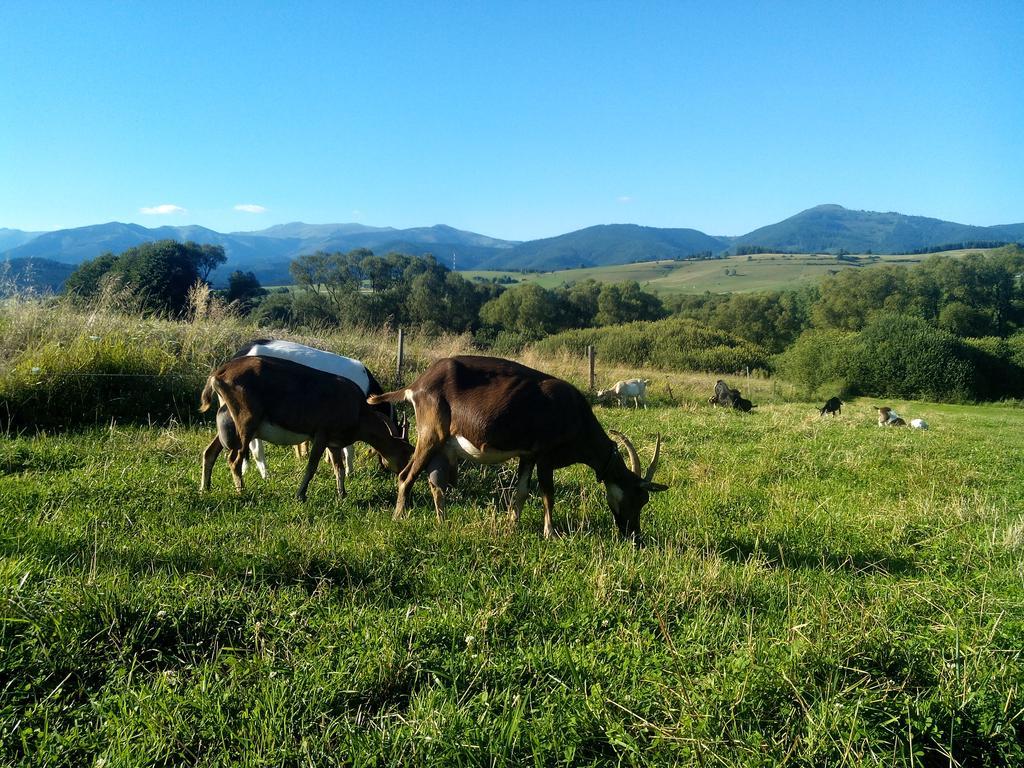 Farma Kozi Dvor Rohozna Appartement Brezno Buitenkant foto