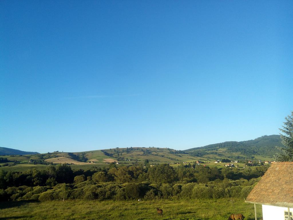 Farma Kozi Dvor Rohozna Appartement Brezno Buitenkant foto